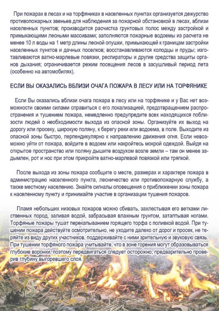 p84_2pamyatkapojaryivlesaxinatorfyannikax-2.jpg